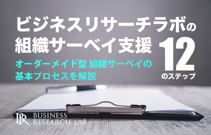 ビジネスリサーチラボの組織サーベイ支援 12のステップ